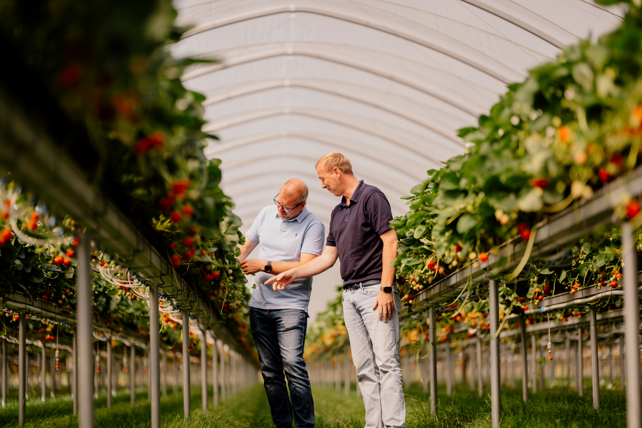 Quality and supply chain at ELO